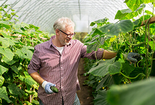 Agriculture