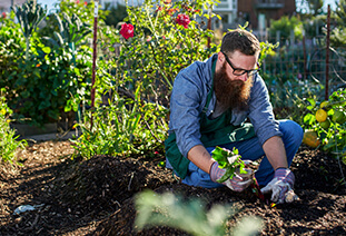 Gardening